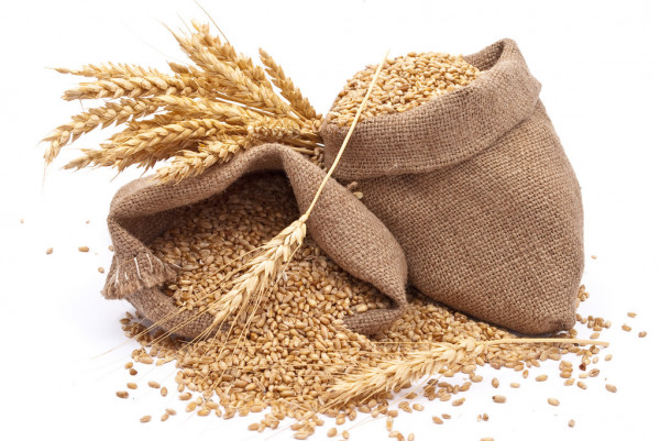 depositphotos_4411047-stock-photo-sacks-of-wheat-grains.jpg